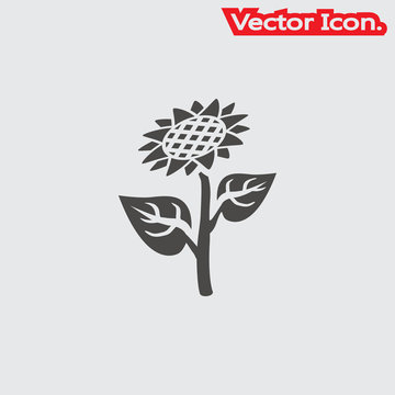 Sunflower icon isolated sign symbol and flat style for app, web and digital design. Vector illustration.