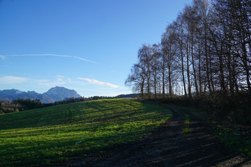 Obraz premium landscape in the fields