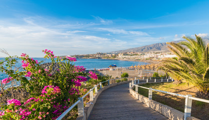 Landscape with Fanabe beach at Adeje Coast, Tenerife, Canary Islands, Spain © Balate Dorin