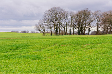 niederrheinische Landschaft
