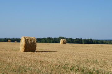 bales of hay