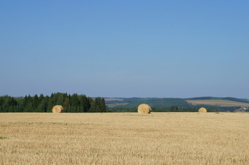 Fototapeta premium bales of hay in field