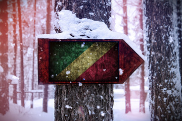 The Republic Of Congo flag attached to the tree as a sign.