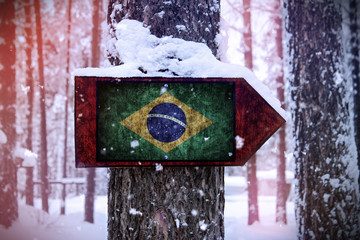 The Brazil flag attached to the tree as a sign.