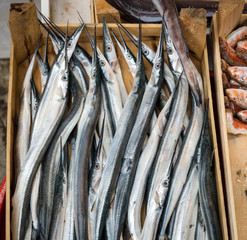 Fototapeta premium A fish seller in Istanbul city.