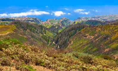 Fototapeta premium Coastal mountain landscape of Madeira