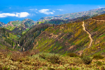 Fototapeta na wymiar Mountain landscape of Madeira Island