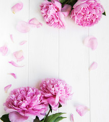 beautiful pink  peony flowers © Olena Rudo