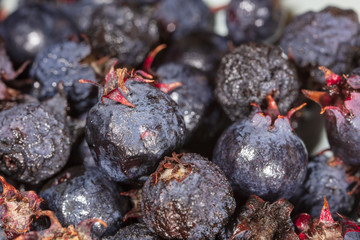 Amelancher ripe berries as a background