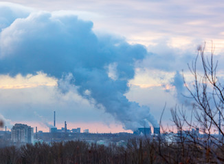 Obraz premium Smoke from pipes in a factory behind tree branches