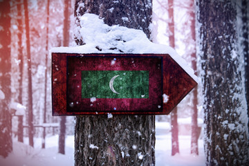 The Maldives flag attached to the tree as a sign.