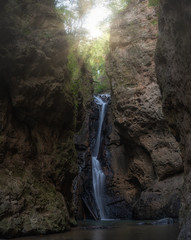 Obraz premium waterfall in forest