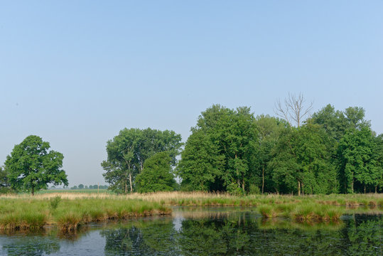 im Naturschutzgebiet Schwalm-Nette