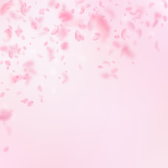 Sakura petals falling down. Romantic pink flowers 