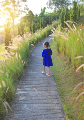 Fototapeta na wymiar Rear view Asian little kid girl walking on walkway in wild grass field at sunrise.