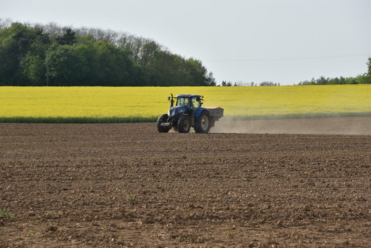 Fertilisation sur sol nu 