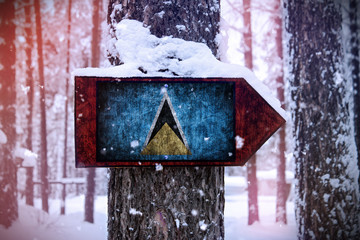 The Saint Lucia flag attached to the tree as a sign.