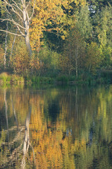 Herbstwald spiegelt sich im Wasser