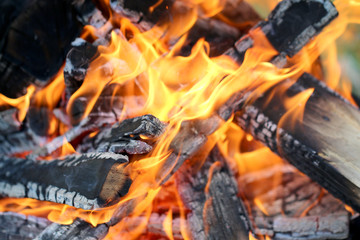 fire in the nature, fire for cooking in the nature
