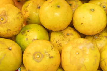 Oranges on wallpaper