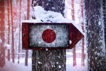 The Japanese flag attached to the tree as a sign.