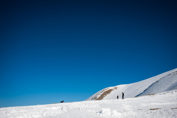 encuentros en la nieve