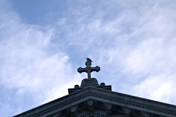 Fototapeta na wymiar church,sky,seagull,cross,italy,symbol,old,blue,cloud,monument