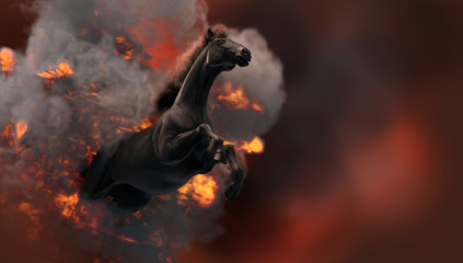 Fototapeta na wymiar Black running horse on orange fire background