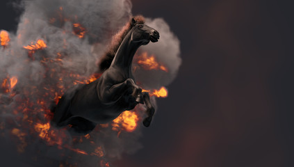 Black running horse on orange fire background © willyam