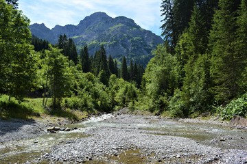 Fototapeta na wymiar Fluss im Allgäu