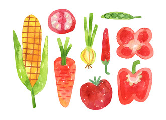 hand drawn set with watercolor vegetables collection with clipping path