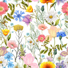 Fototapety  Jednolity wzór letnich kwiatów