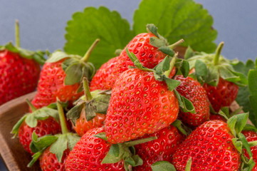 A beautiful and delicious strawberries set isolated on colorful background, close up, macro, copy space.