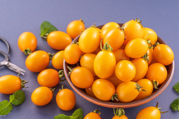 Fresh cherry tomatoes in a wooden bowl isolated on a blue background, close up, copy space