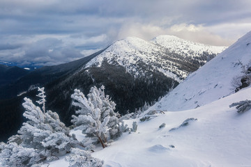 Fototapeta premium Snowy winter mountains at sun day in Carpathians, Pip-Ivan, Ukraine