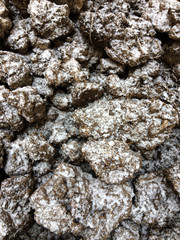 Frozen ground covered with snow. First snow