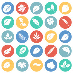 Leafs icon set on color circles background for graphic and web design, Modern simple vector sign. Internet concept. Trendy symbol for website design web button or mobile app