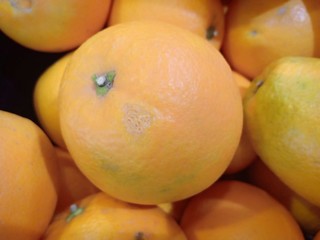 Orange vol.3