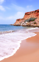 ORILLA DE LA PLAYA CON ESPUMA DE LAS OLAS SOBRE LA ARENA
