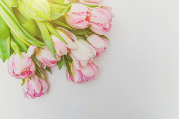 Spring greeting card. Bouquet of fresh light pastel pink tulips flowers on white wooden background. Happy holiday easter mother day anniversary valentine birthday concept. Flat lay top view copy space