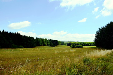 Landscape of Mazurian region in Poland, fields with crops.