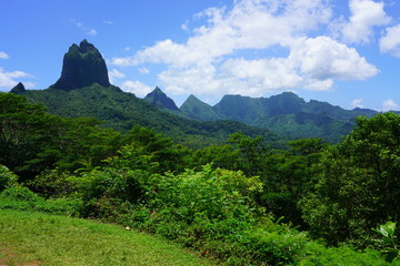Landscape view overlooking Cook and Opunohu Bays in the island and lagoon of Moorea near Tahiti in French Polynesia, South Pacific, seen from the picturesque Belvedere Lookout