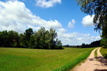Fototapeta na wymiar Landscape of Mazurian region in Poland, fields with crops.