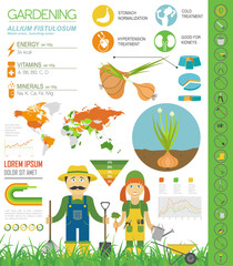 Fototapeta premium Gardening infographic new_30