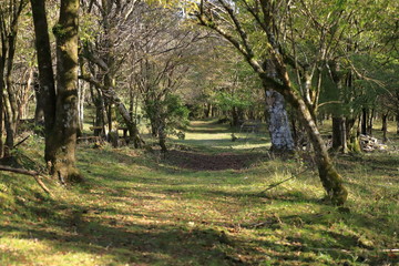 Trail road of Mountain Fuji in Japan