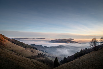 Unterwegs auf und um den Belchen im Südschwarzwald