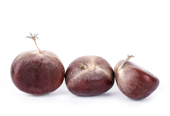 Chestnut on a white background