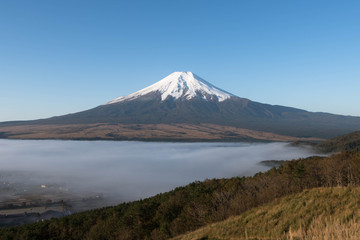 Fototapeta premium 富士山 雲海 忍野村 景色