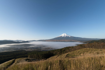 雲海と富士山 忍野村