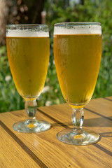 Two cold light unfiltered beer in glasses served on sunny outdoor terrace in garden